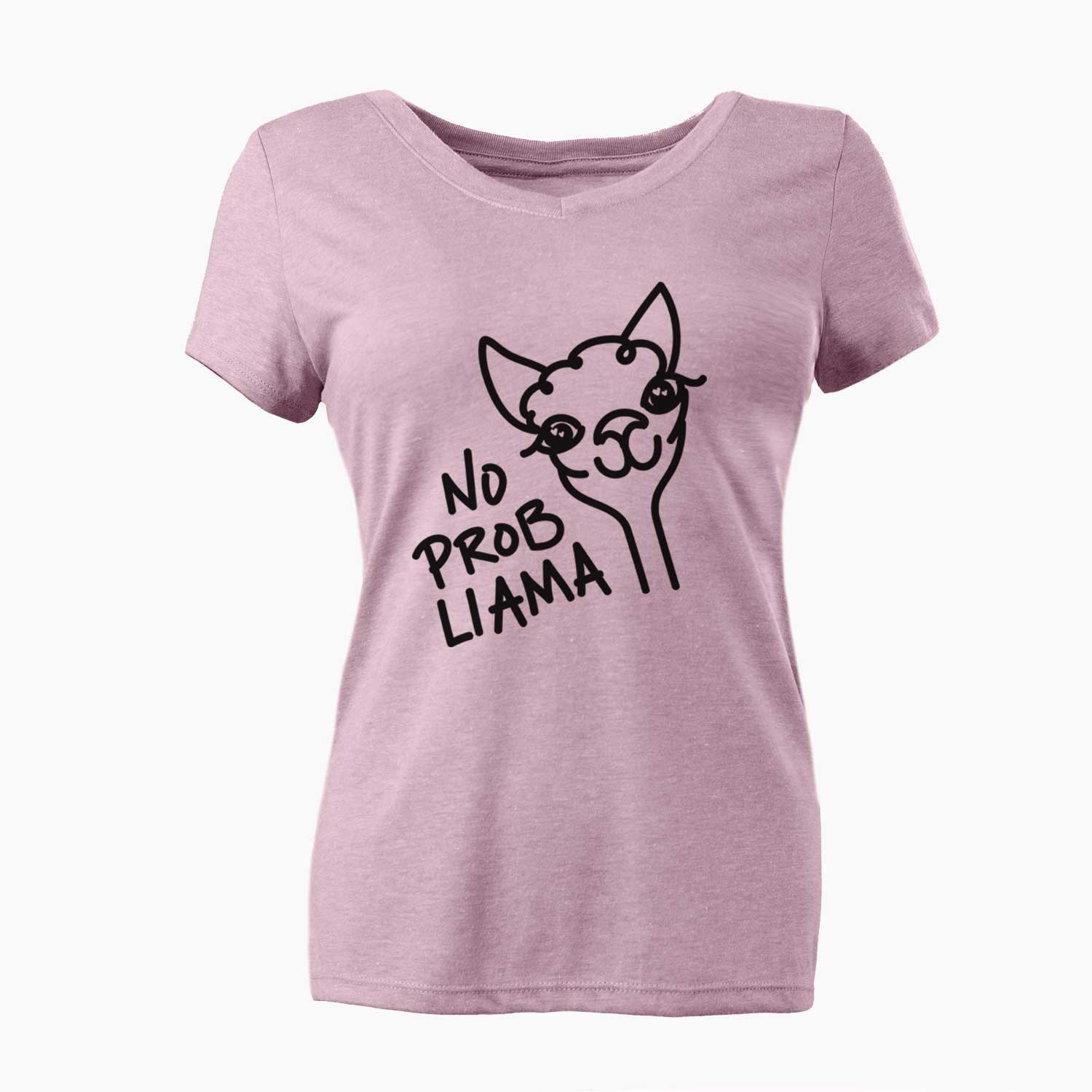 No Prob Llama  - Women's V-neck Shirt