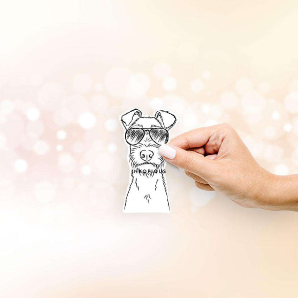 Connor-IrishTerrier-4in-