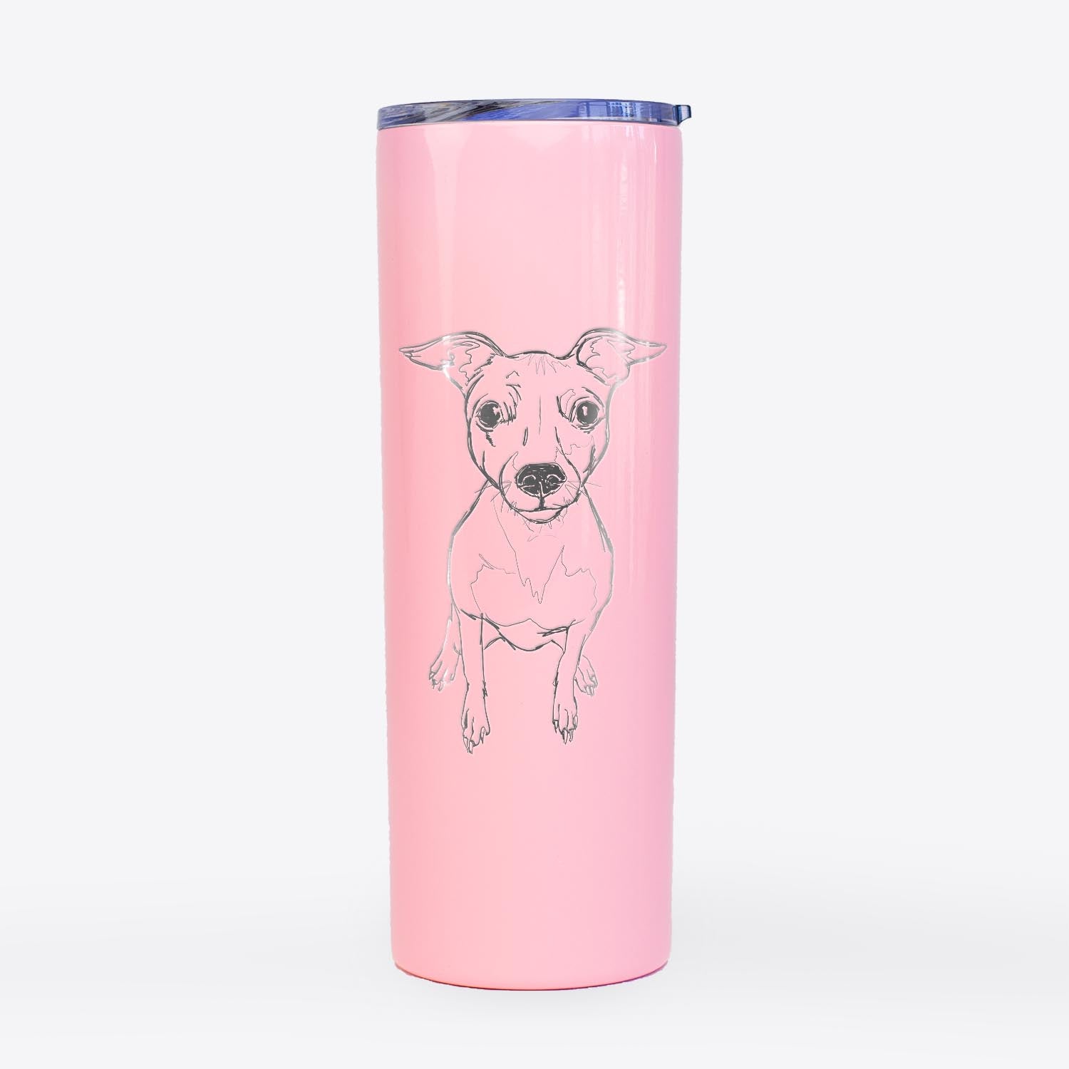 Doodled LittleLucy the American Hairless Terrier - 20oz Skinny Tumbler