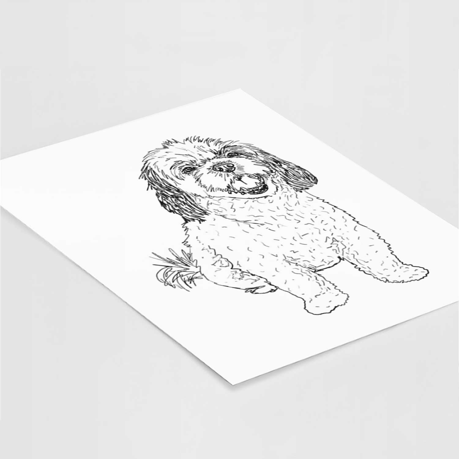 Doodled Bandit the Mixed Breed Art Print