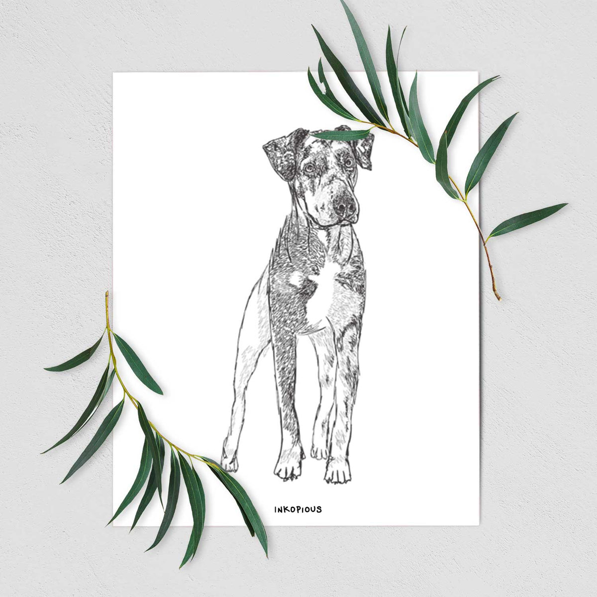 Doodled Bane the Catahoula Art Print