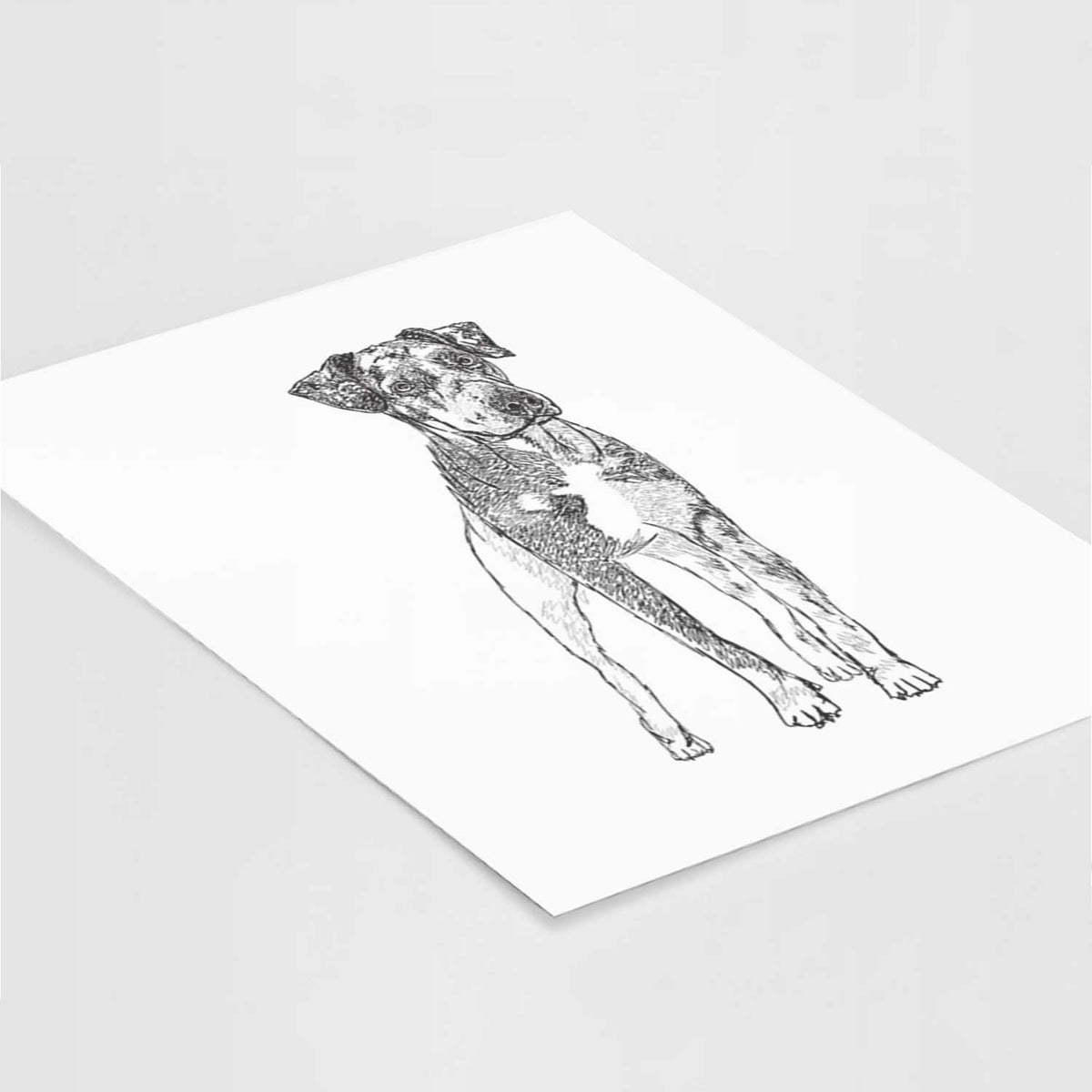 Doodled Bane the Catahoula Art Print