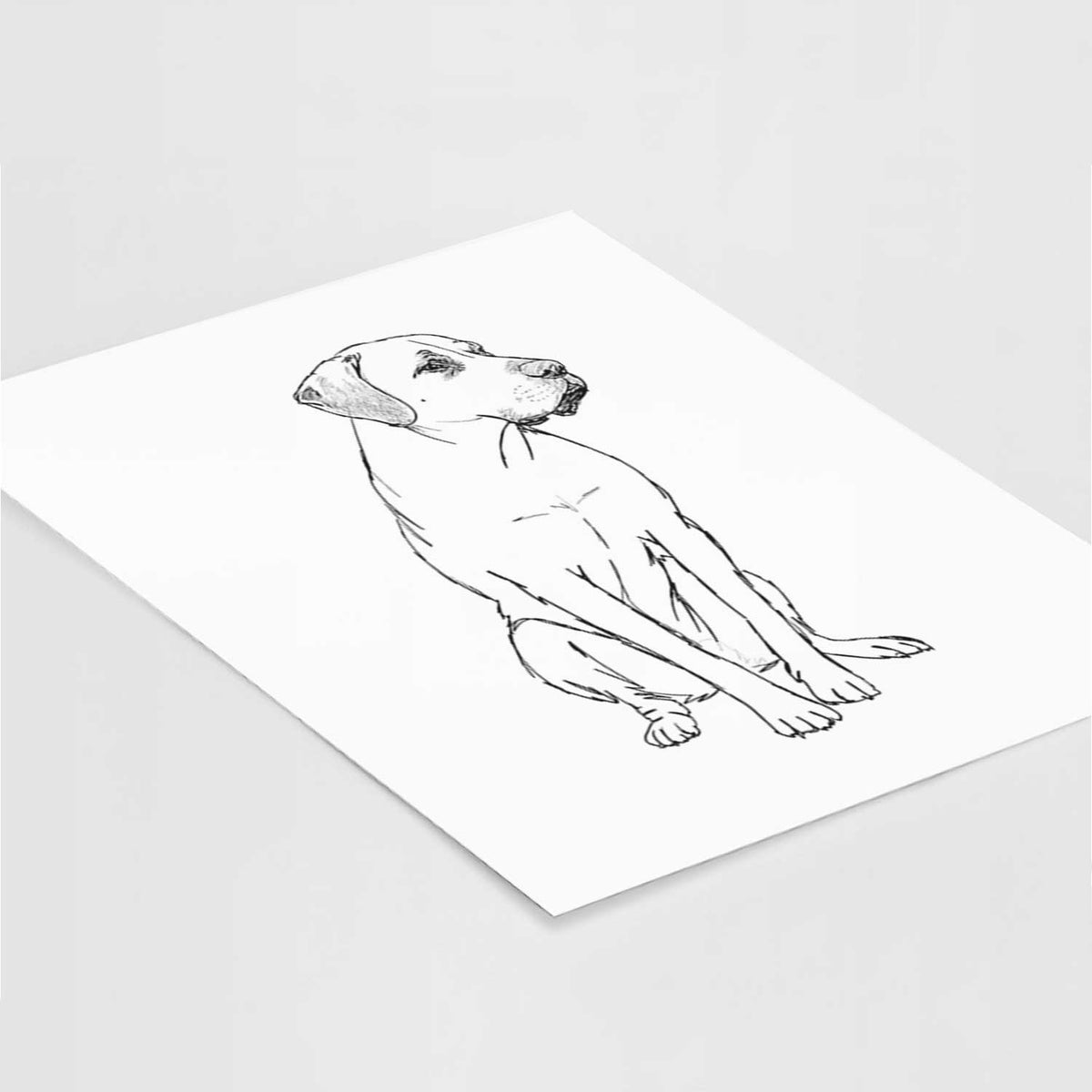 Doodled Barney the Labrador Retriever Mix Art Print