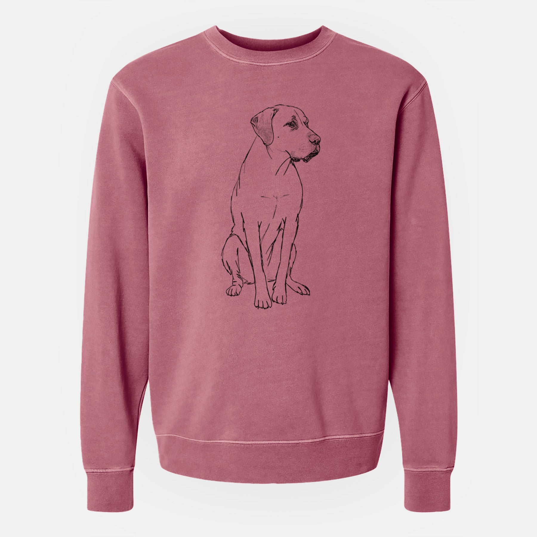 Doodled Barney the Labrador Retriever Mix - Unisex Pigment Dyed Crew Sweatshirt