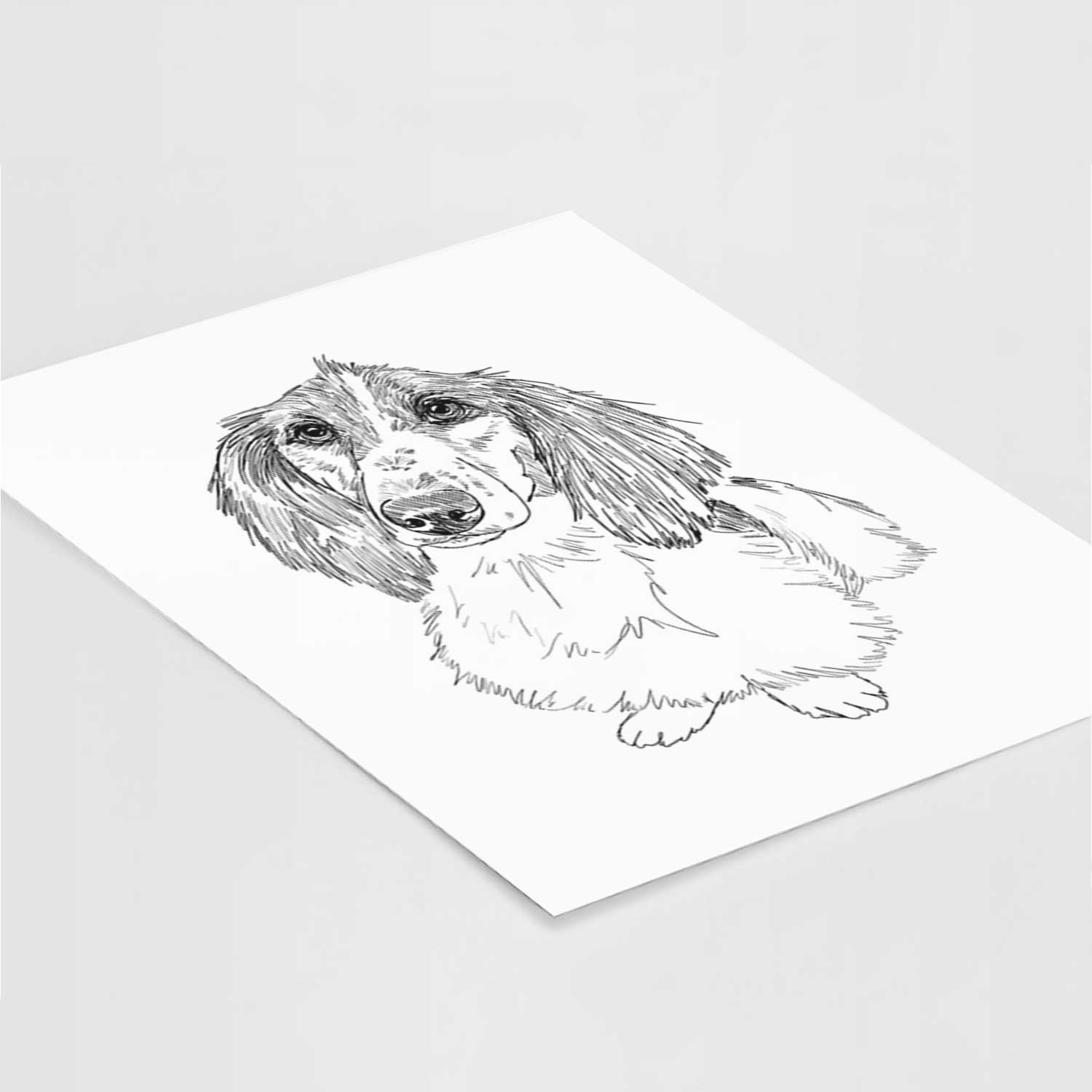 Doodled Bella the Long Haired Dachshund Art Print