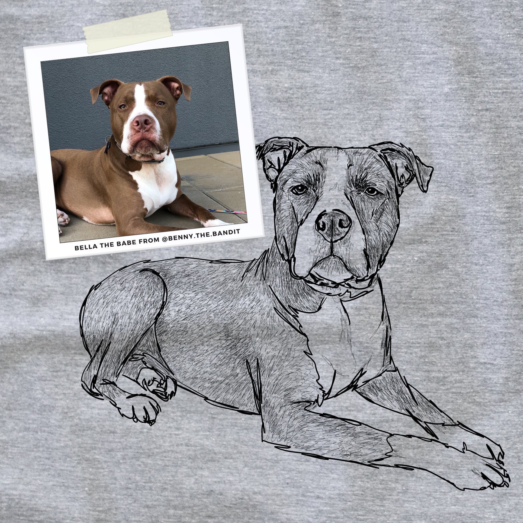 Custom Doodled Pet Portrait | T-Shirt