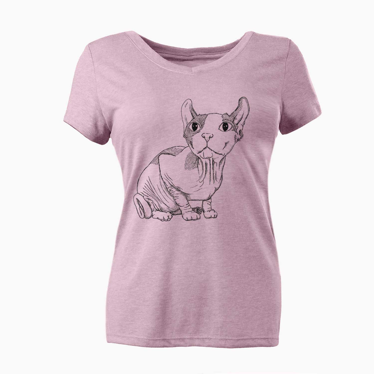 Doodled Bug the Sphynx - Women's V-neck Shirt