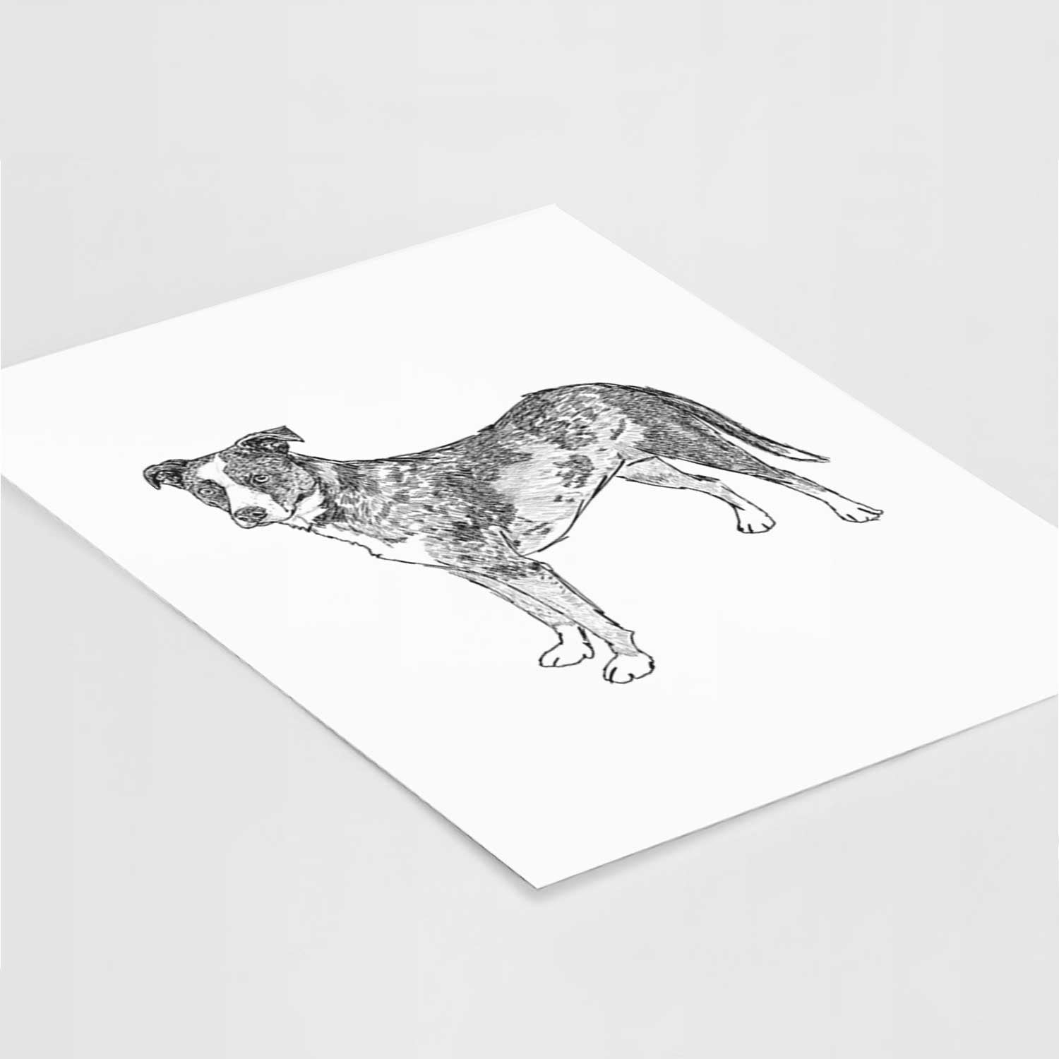 Doodled Carolina the Catahoula Cattle Dog Mix Art Print