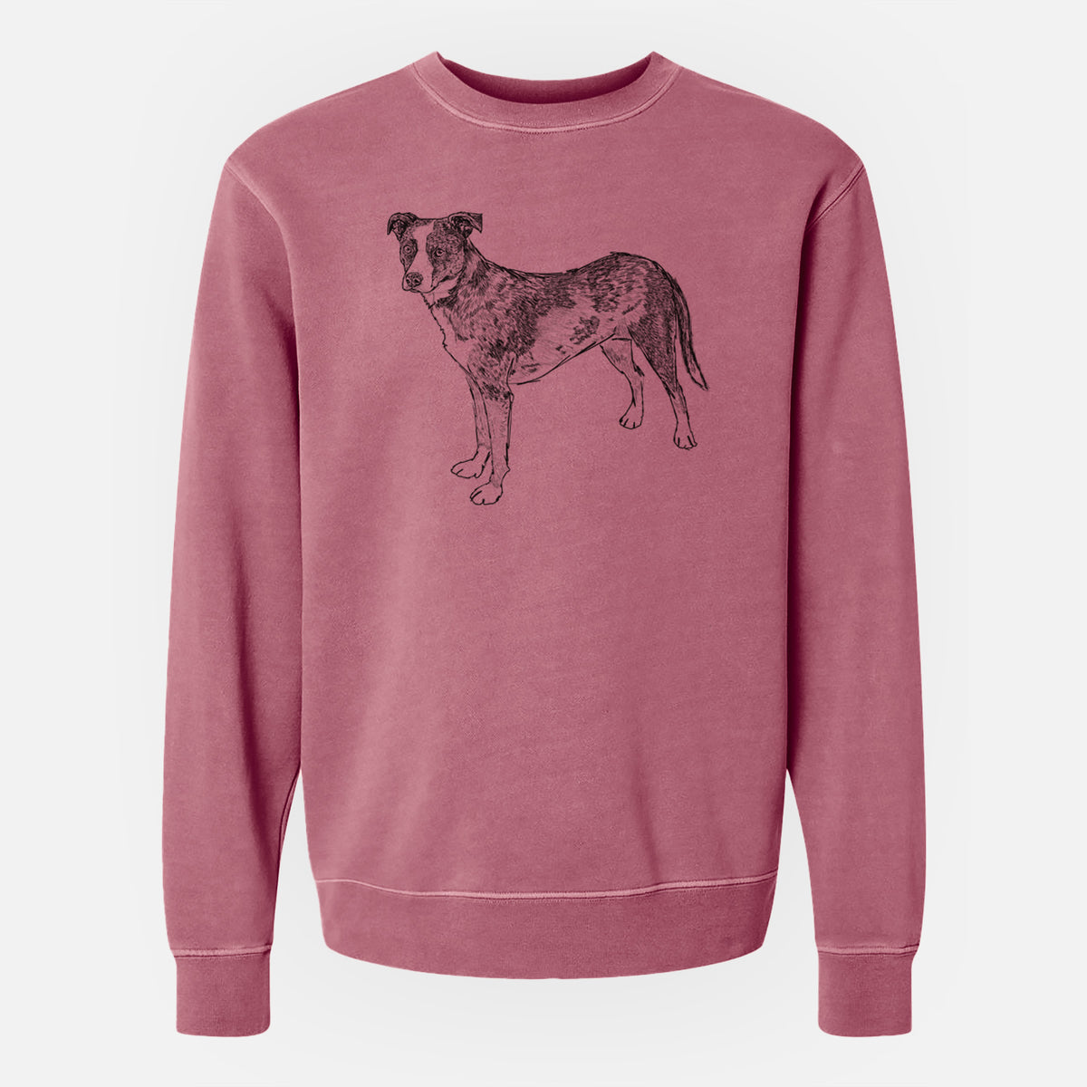 Doodled Carolina the Catahoula Cattle Dog Mix - Unisex Pigment Dyed Crew Sweatshirt