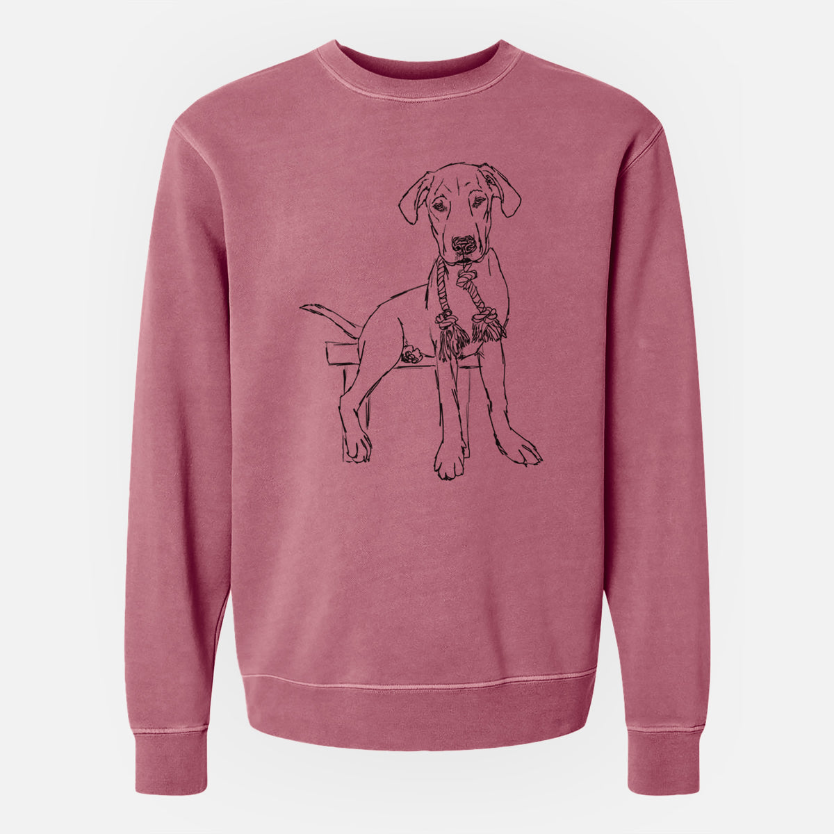 Doodled Carson the Mixed Breed - Unisex Pigment Dyed Crew Sweatshirt