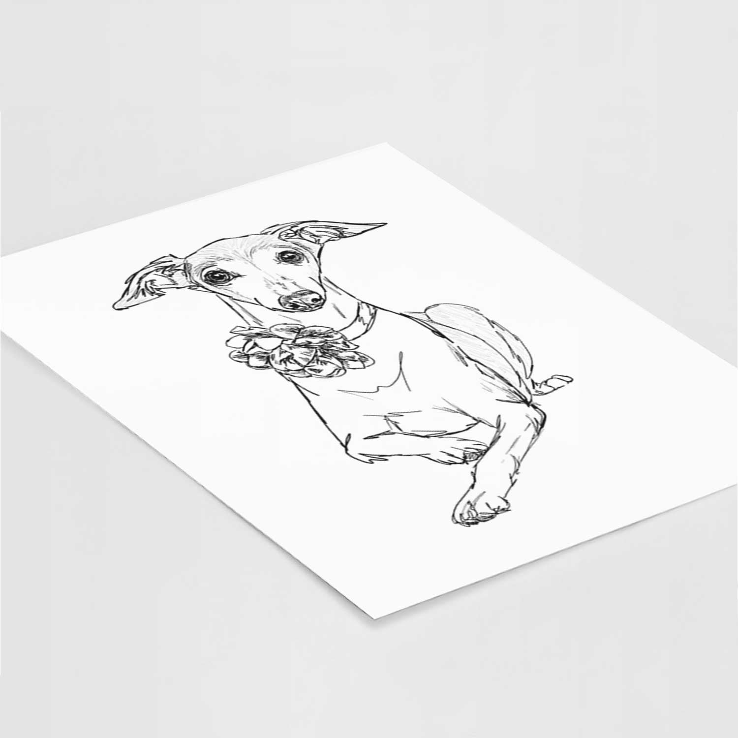 Doodled Cashie the Italian Greyhound Art Print