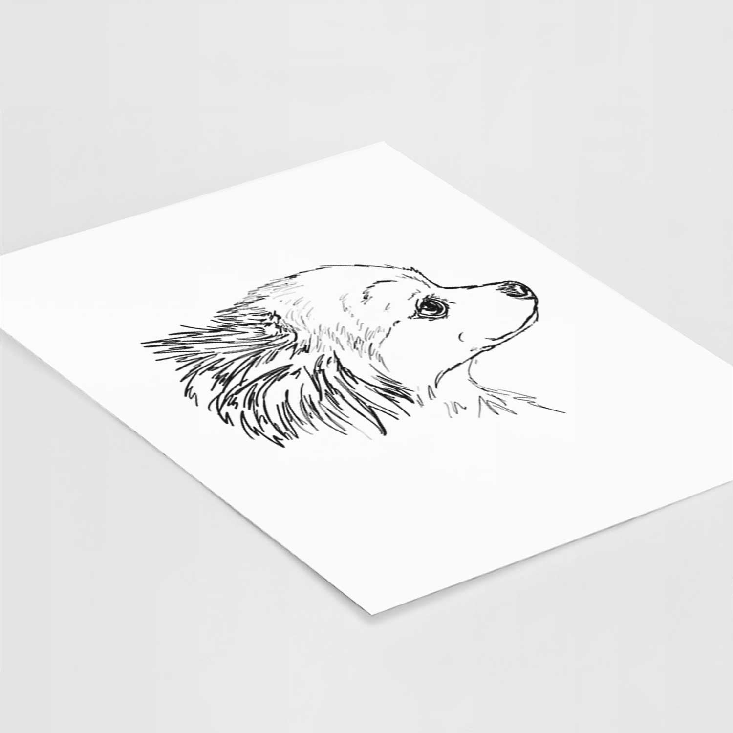 Doodled Charles the Pomchi Art Print