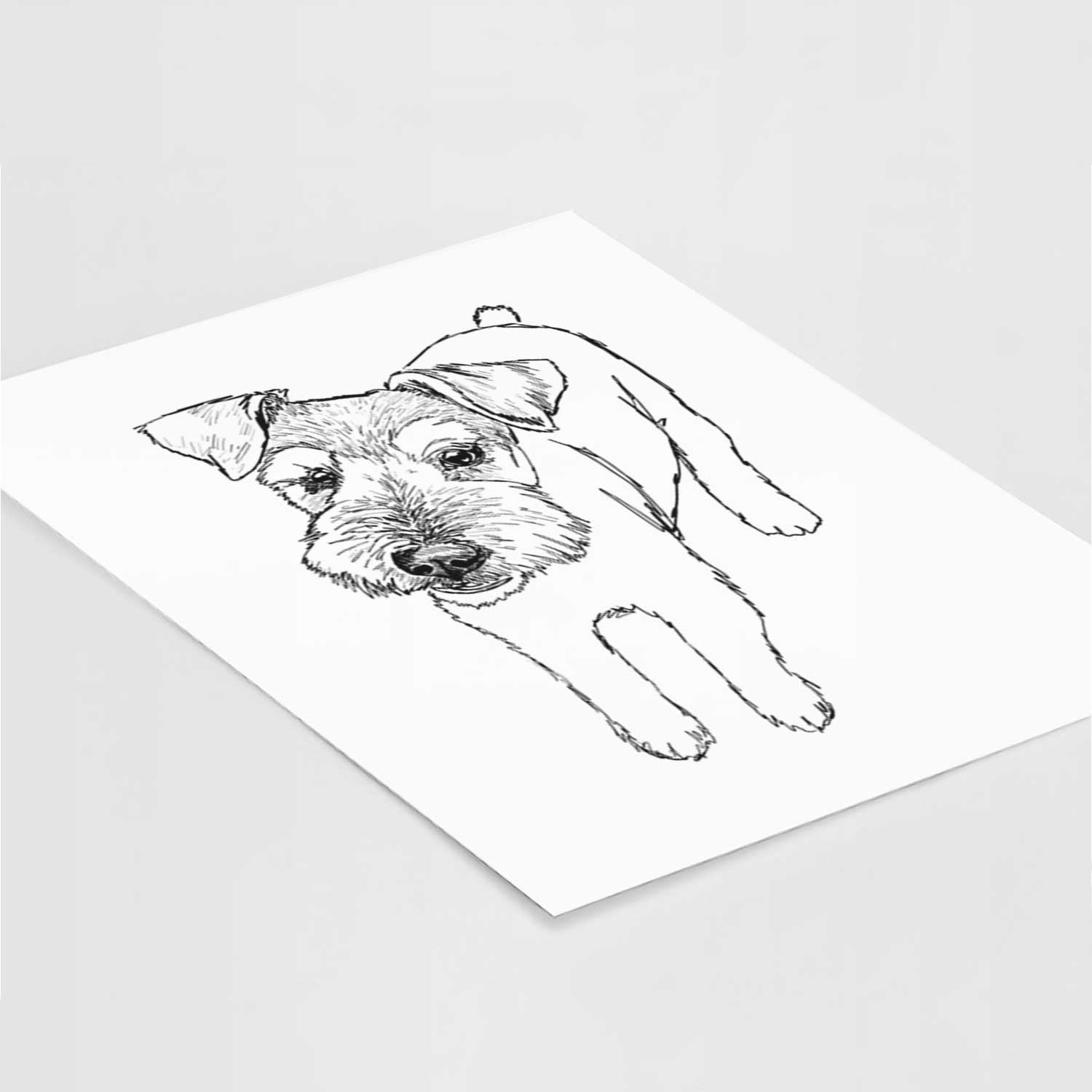 Doodled Dexter the Mini Schnauzer Wire Terrier Mix Art Print