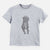 Doodled Dude the Dogue de Bordeaux Mix - Kids/Youth/Toddler Shirt