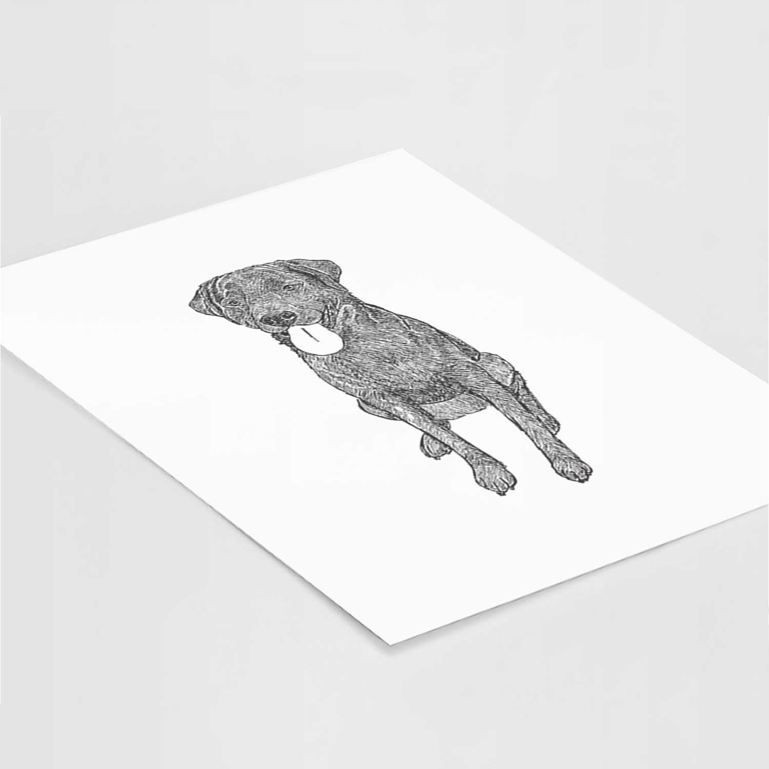 Doodled Duffy the Rottweiler Labrador Mix Art Print