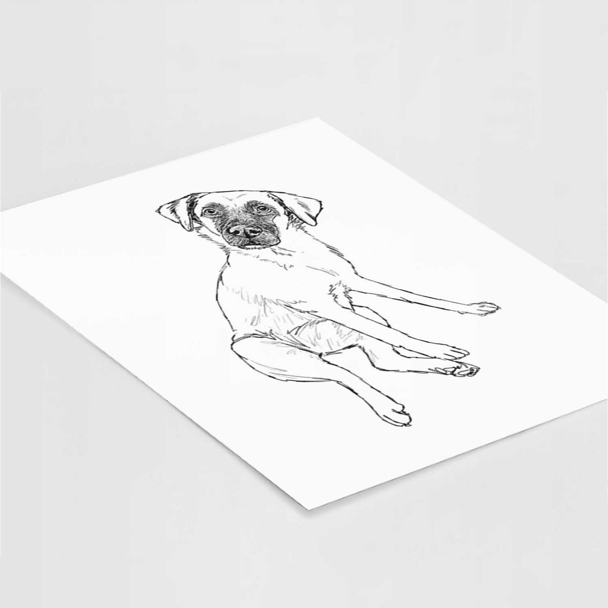 Doodled Dunder the Arubian Cunucu Art Print