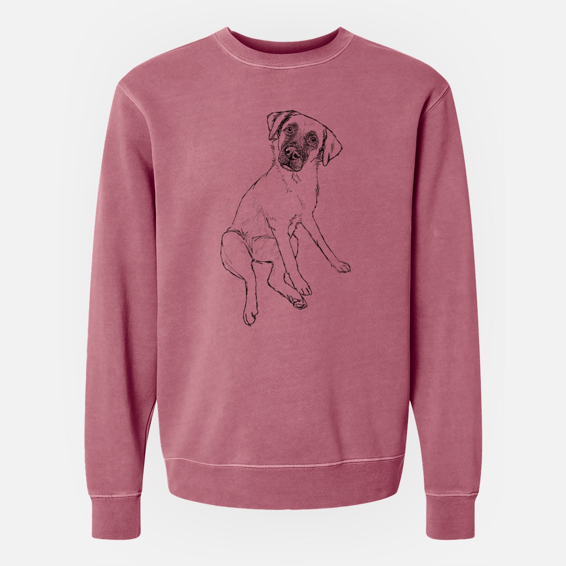 Doodled Dunder the Arubian Cunucu - Unisex Pigment Dyed Crew Sweatshirt