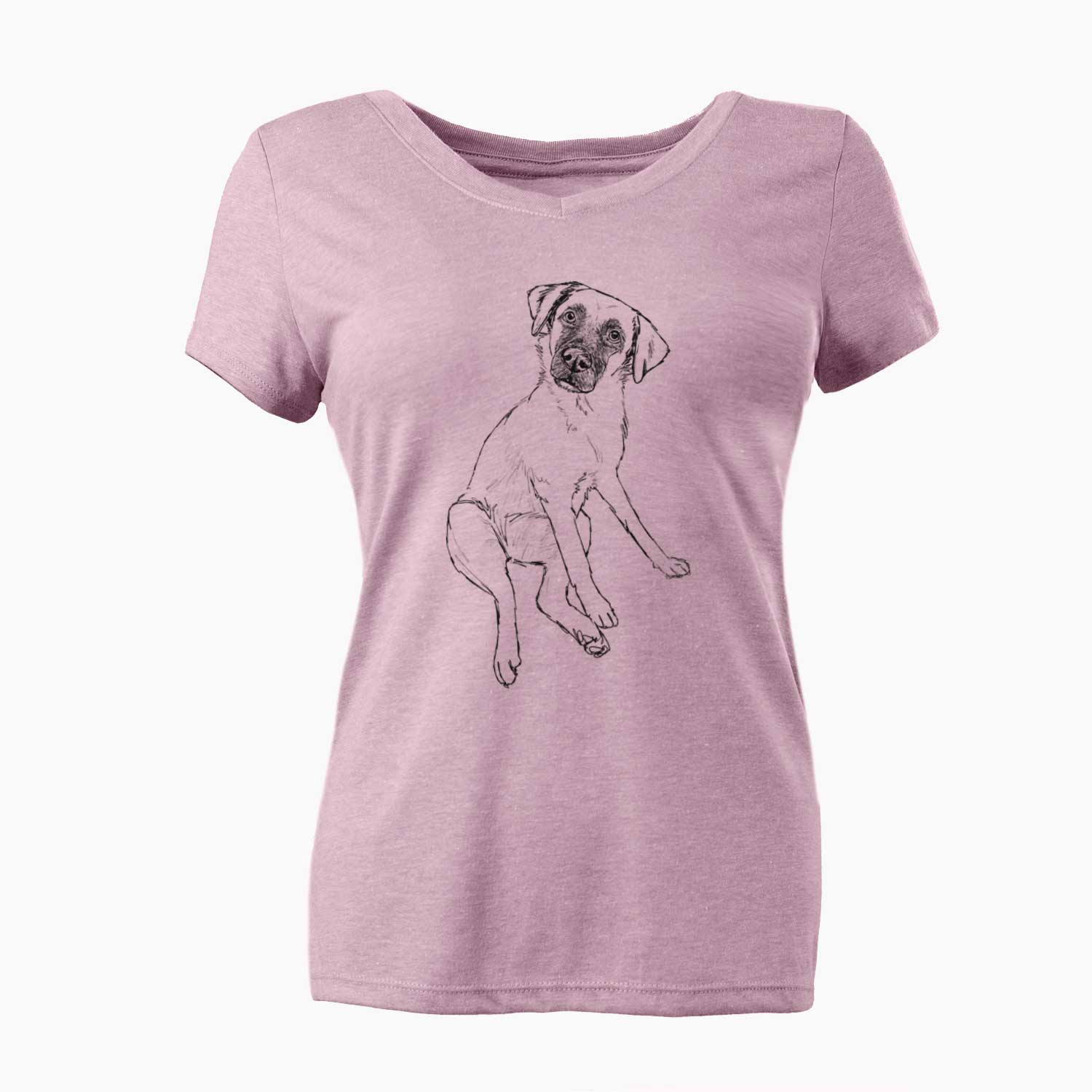 Doodled Dunder the Arubian Cunucu - Women's V-neck Shirt