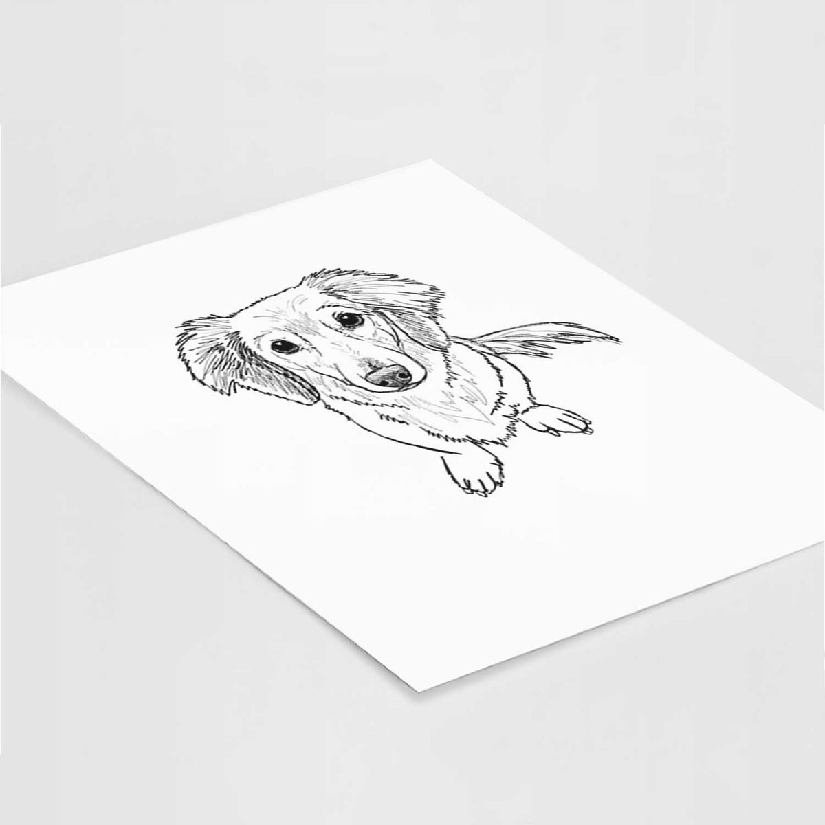 Doodled Enzo the Long Haired Dachshund Art Print
