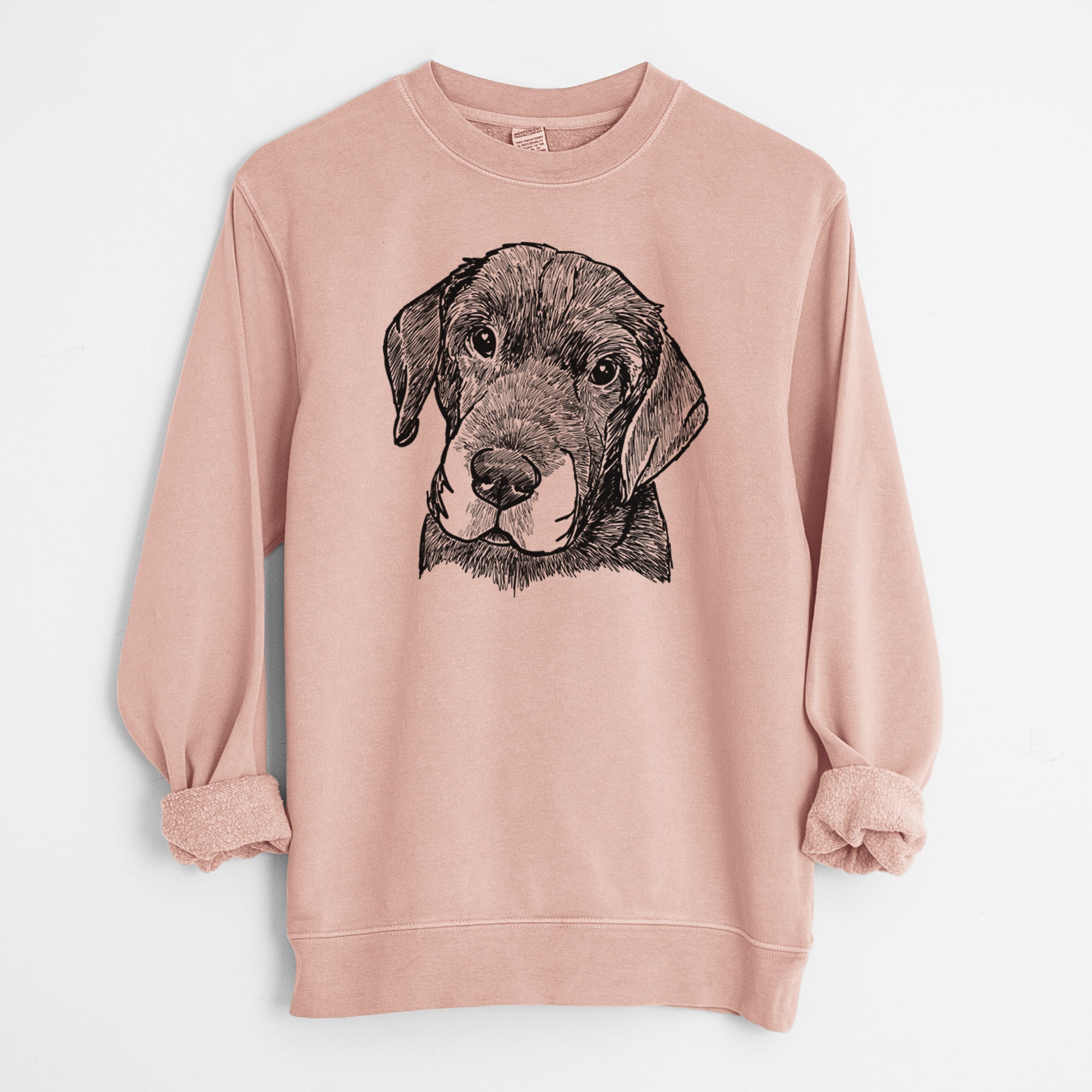 Doodled Finnegan the Shar Pei Beagle Mix - Unisex Pigment Dyed Crew Sweatshirt