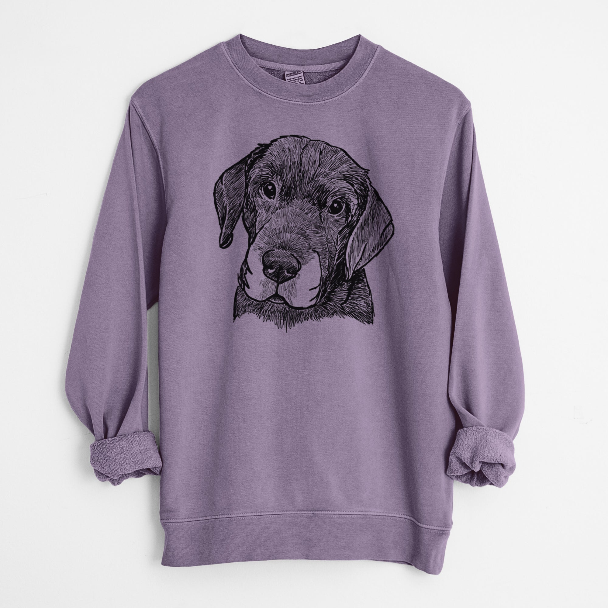 Doodled Finnegan the Shar Pei Beagle Mix - Unisex Pigment Dyed Crew Sweatshirt