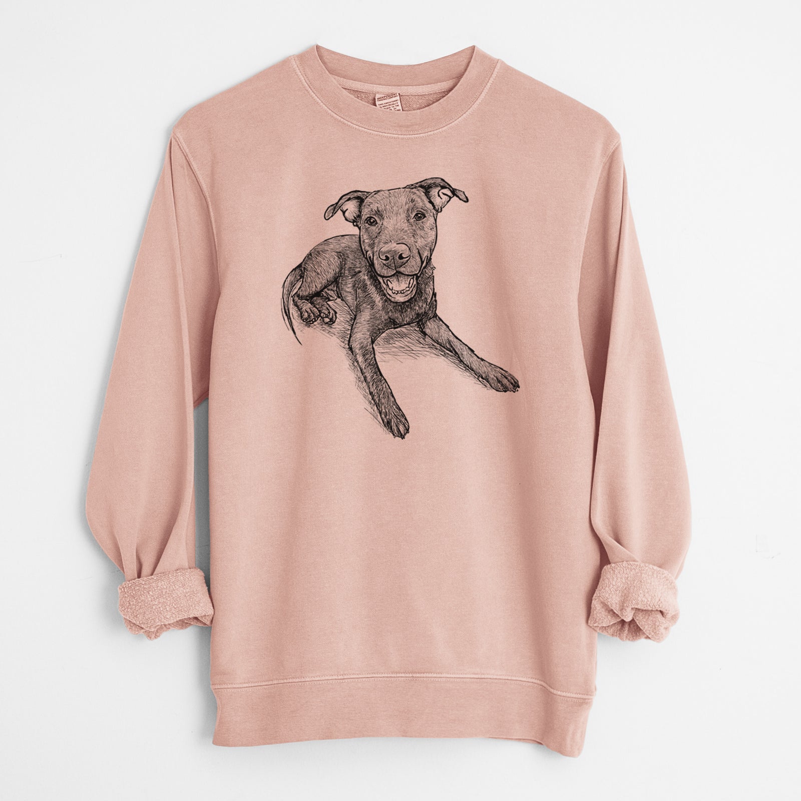 Doodled Forrest the Mixed Breed - Unisex Pigment Dyed Crew Sweatshirt