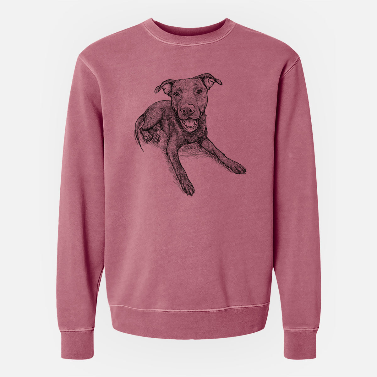 Doodled Forrest the Mixed Breed - Unisex Pigment Dyed Crew Sweatshirt