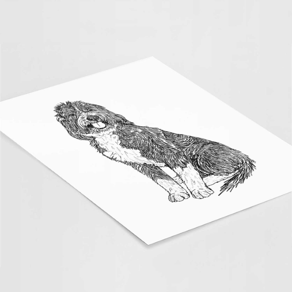 Doodled Fred the Saint Berdoodle Art Print