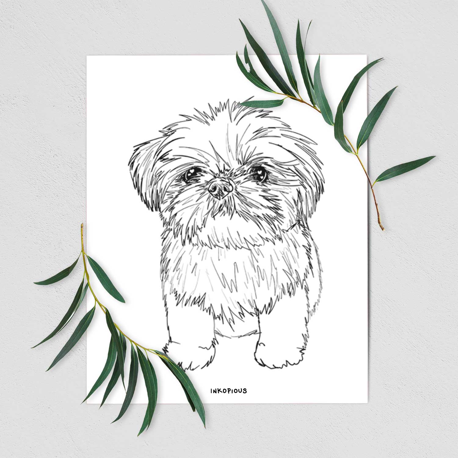 shih tzu black and white boy clipart