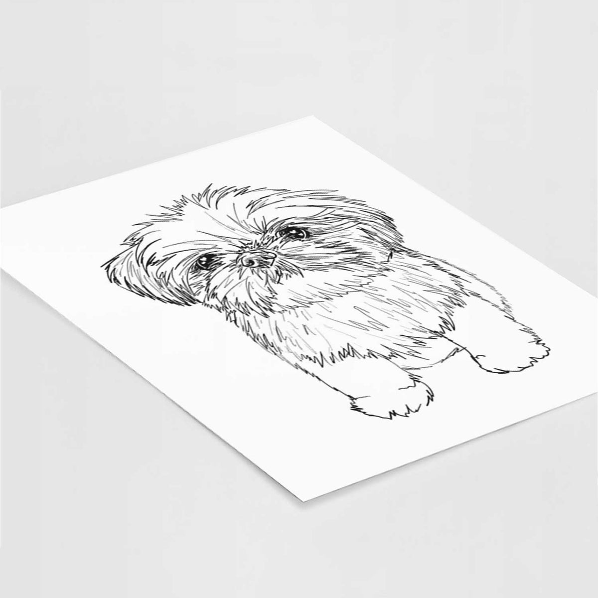Doodled Gertrude McFuzz the Mini Shih Tzu Art Print