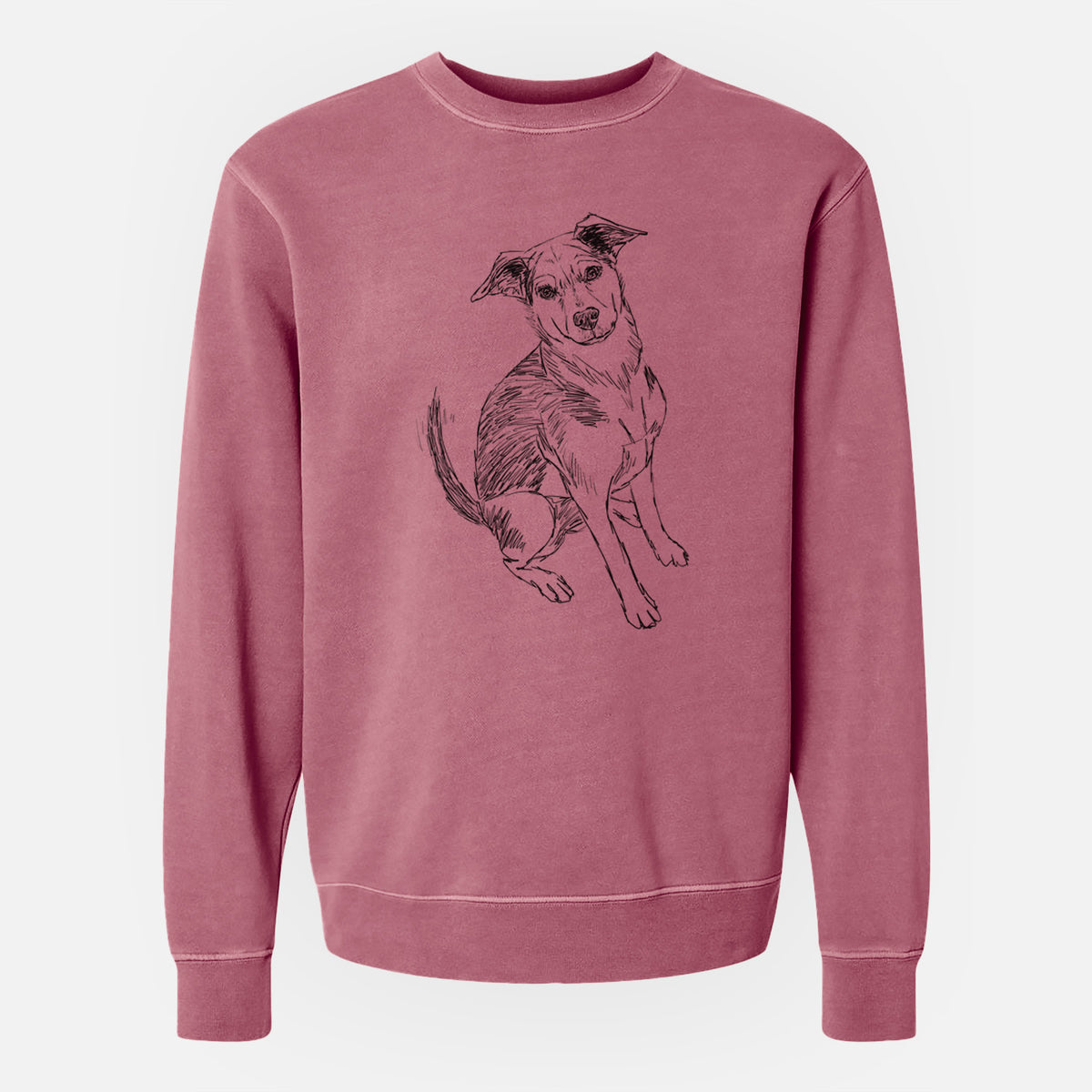 Doodled Gouda the Hound Terrier Mix - Unisex Pigment Dyed Crew Sweatshirt