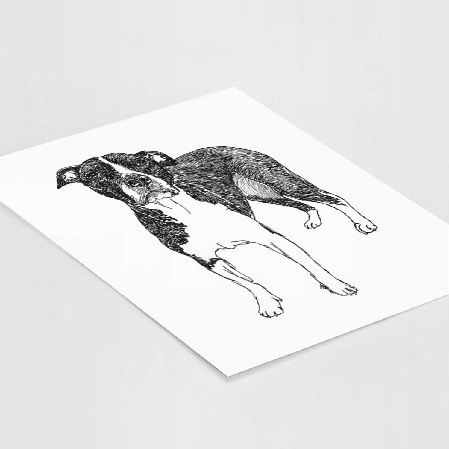 Doodled Harley Quinn the American Staffordshire Terrier Art Print