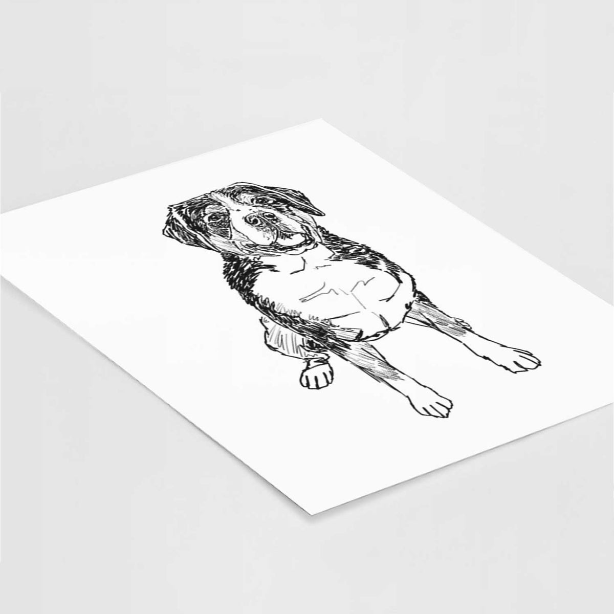 Doodled Harvey the Greater Swiss Mountain Dog Art Print