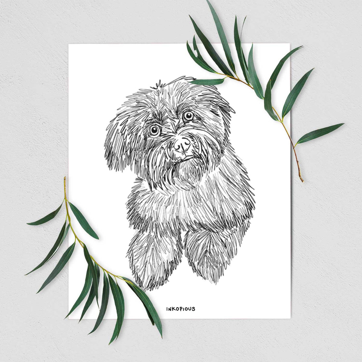 Doodled Hershey the Havanese Art Print