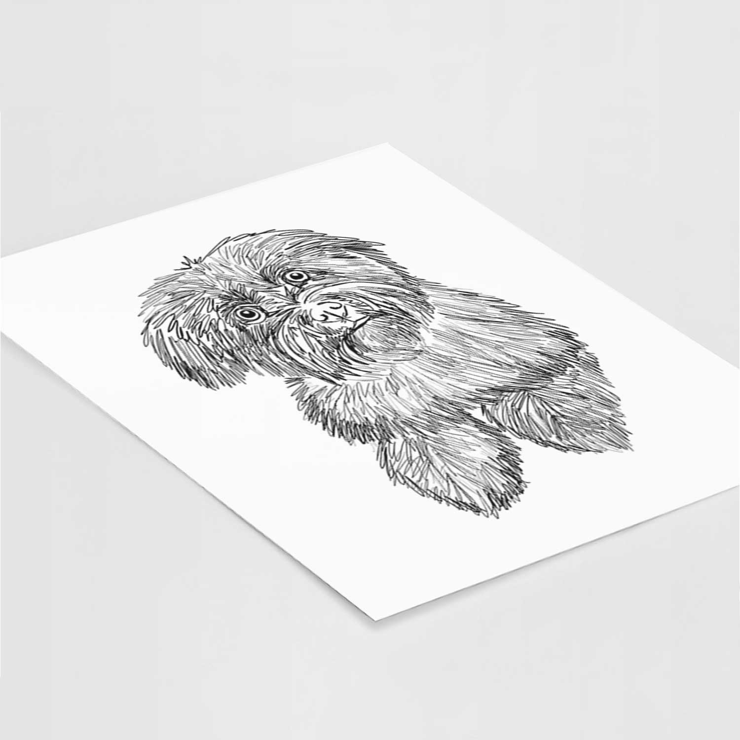 Doodled Hershey the Havanese Art Print