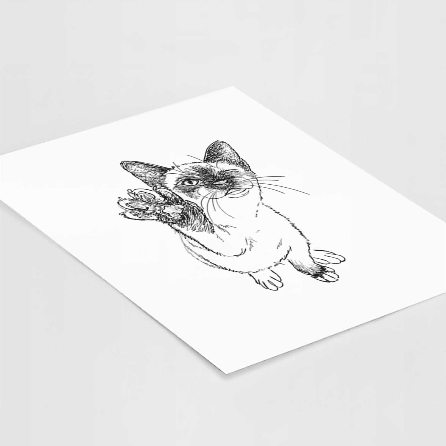 Doodled Hoggle the Siamese Cat Art Print
