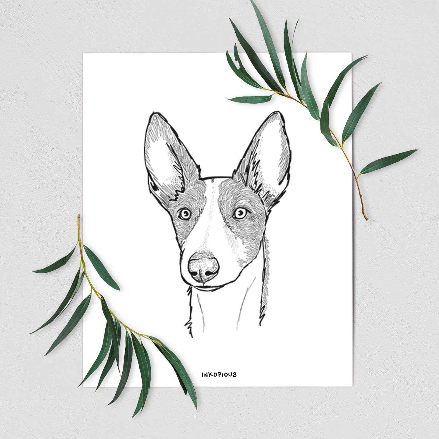 Doodled Hunee the Ibizan Sighthound Art Print