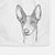 Doodled Hunee the Ibizan Sighthound Decorative Hand Towel