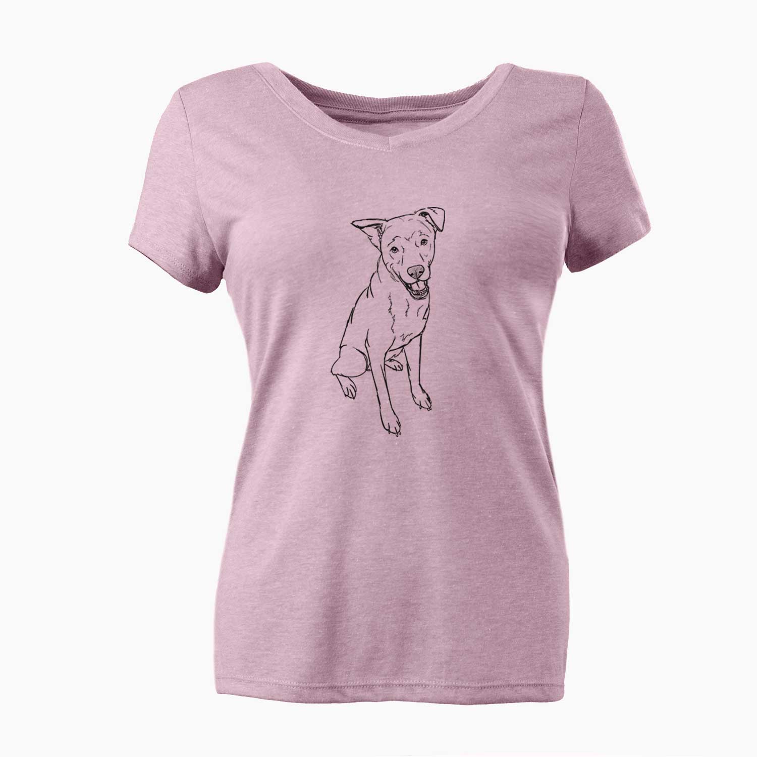 Doodled Indy the Mixed Breed - Women's V-neck Shirt