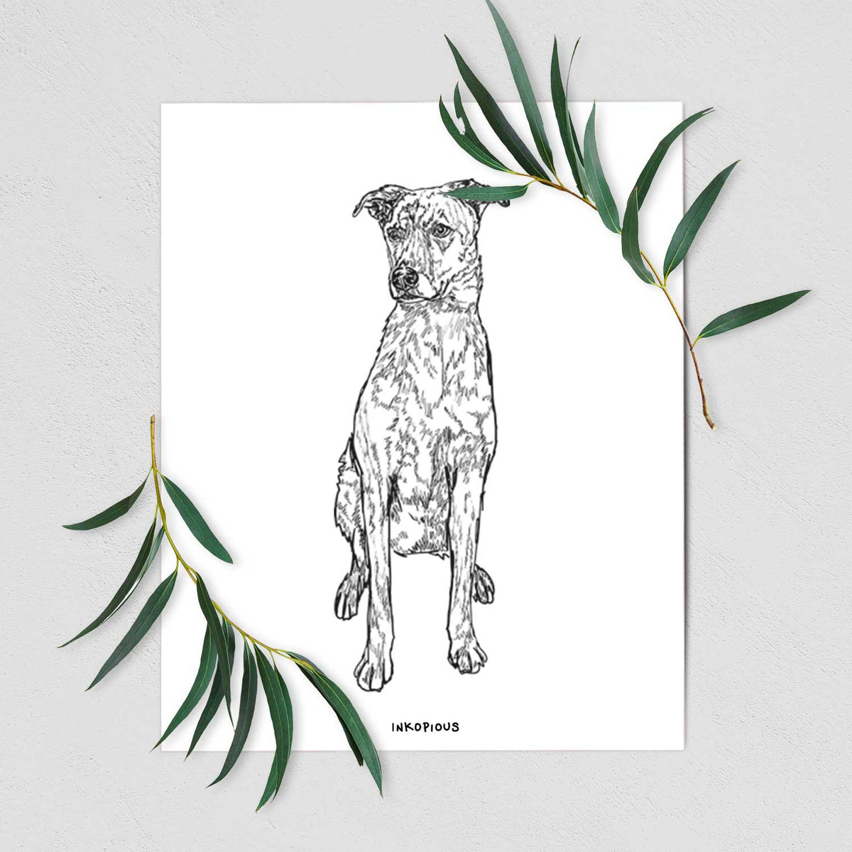 Doodled Jack the Catahoula Art Print
