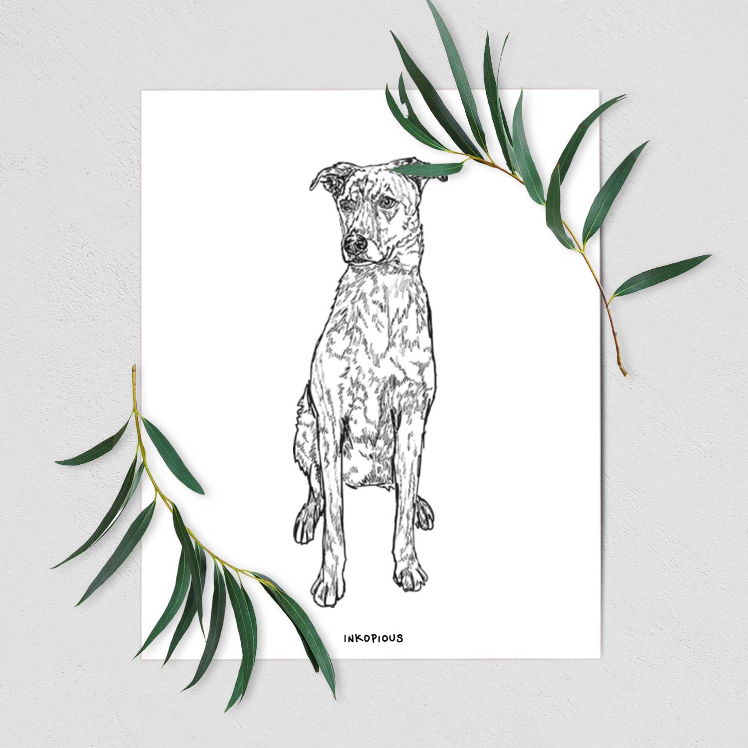 Doodled Jack the Catahoula Art Print