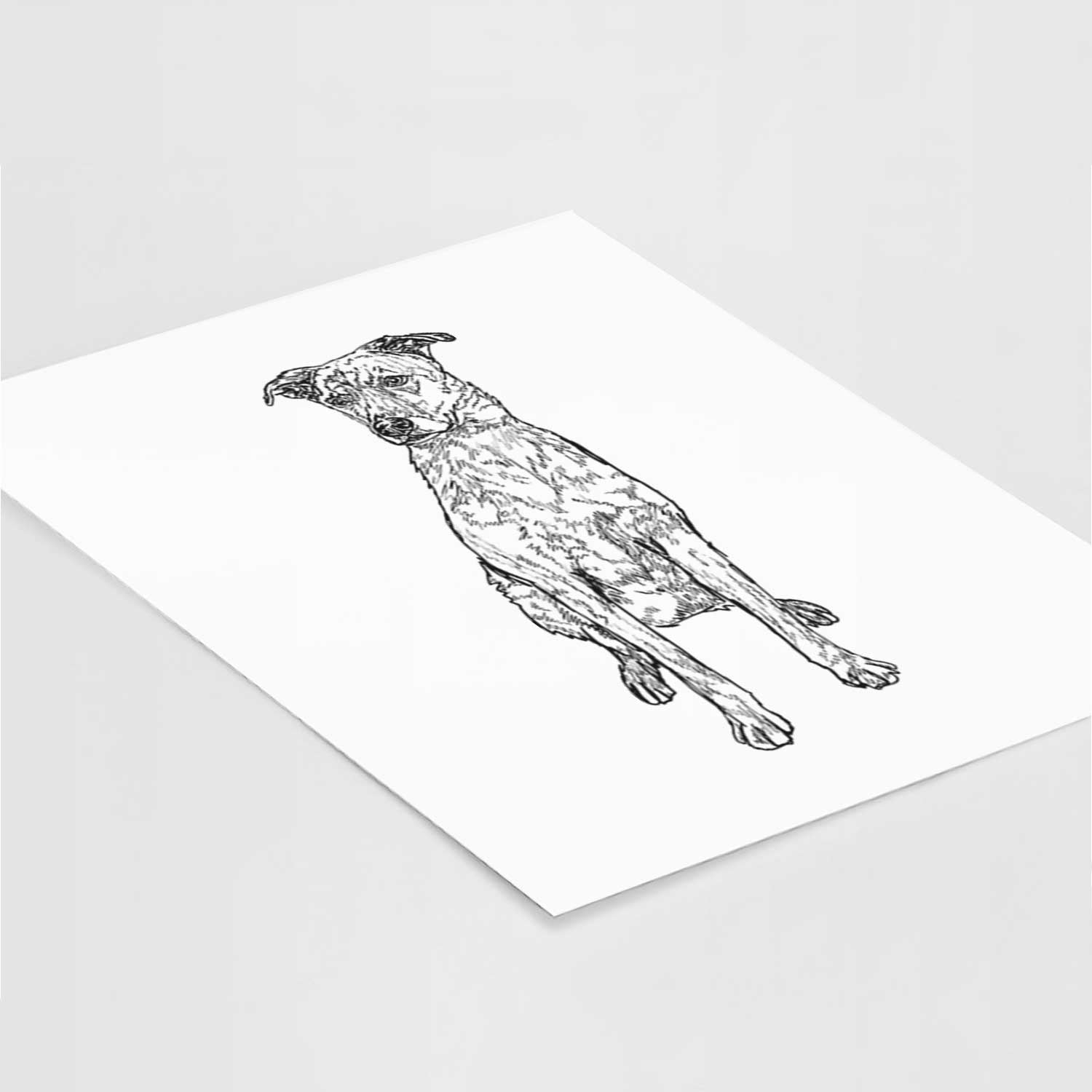 Doodled Jack the Catahoula Art Print