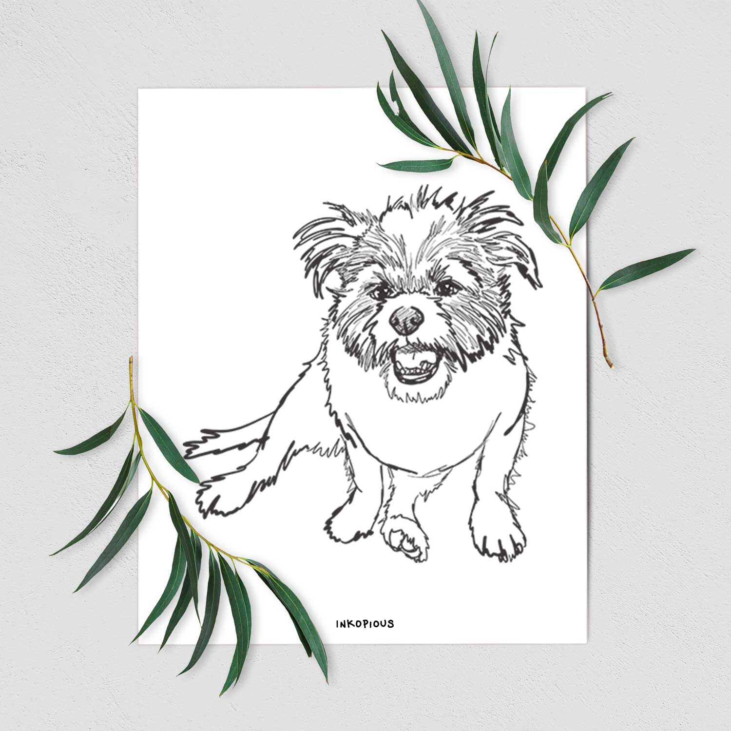 Doodled Jack the Shih Tzu Jack Russell Terrier Mix Art Print