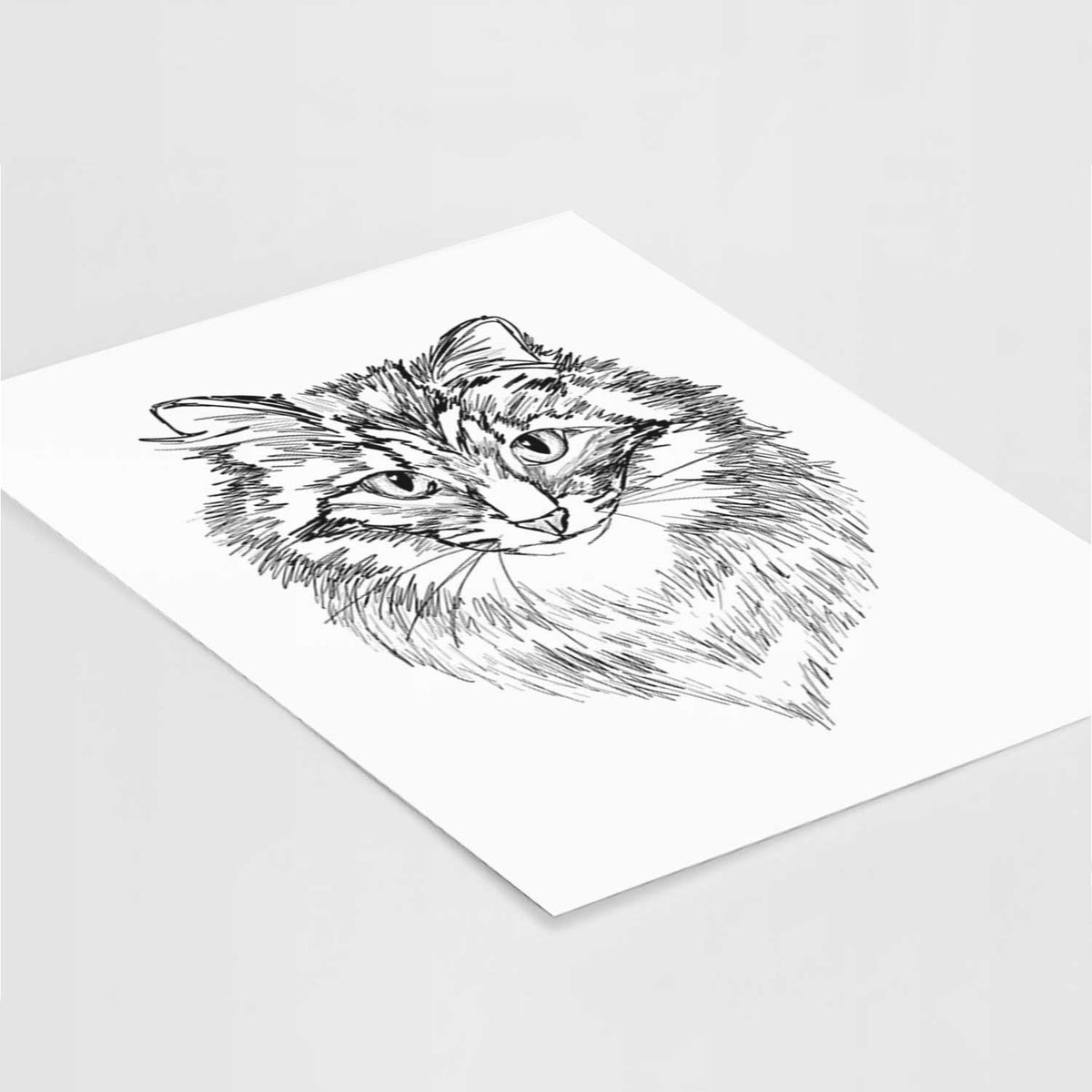 Doodled Jazmine the Long Hair Tabby Cat Art Print