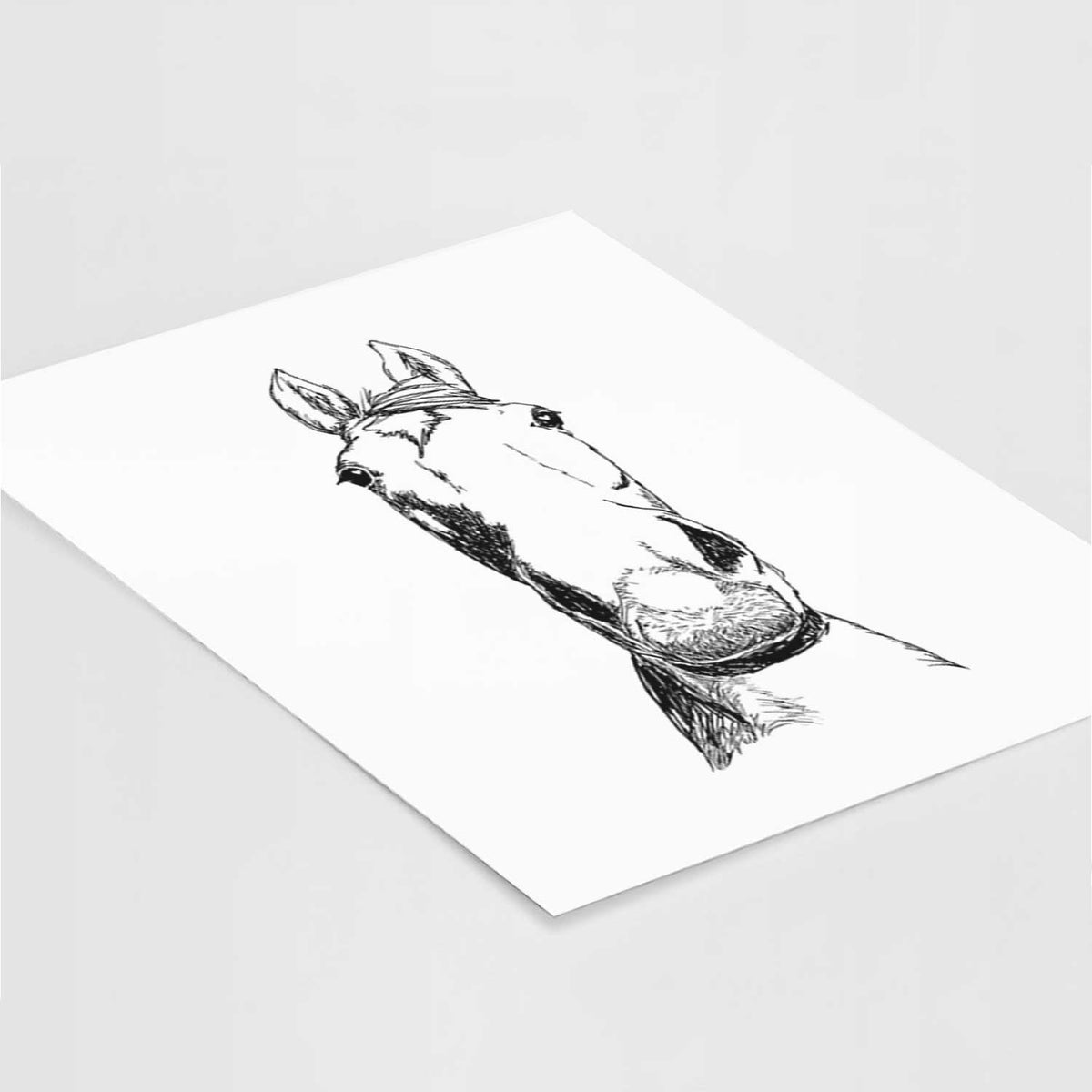 Doodled Jeremiah the OTTB Art Print