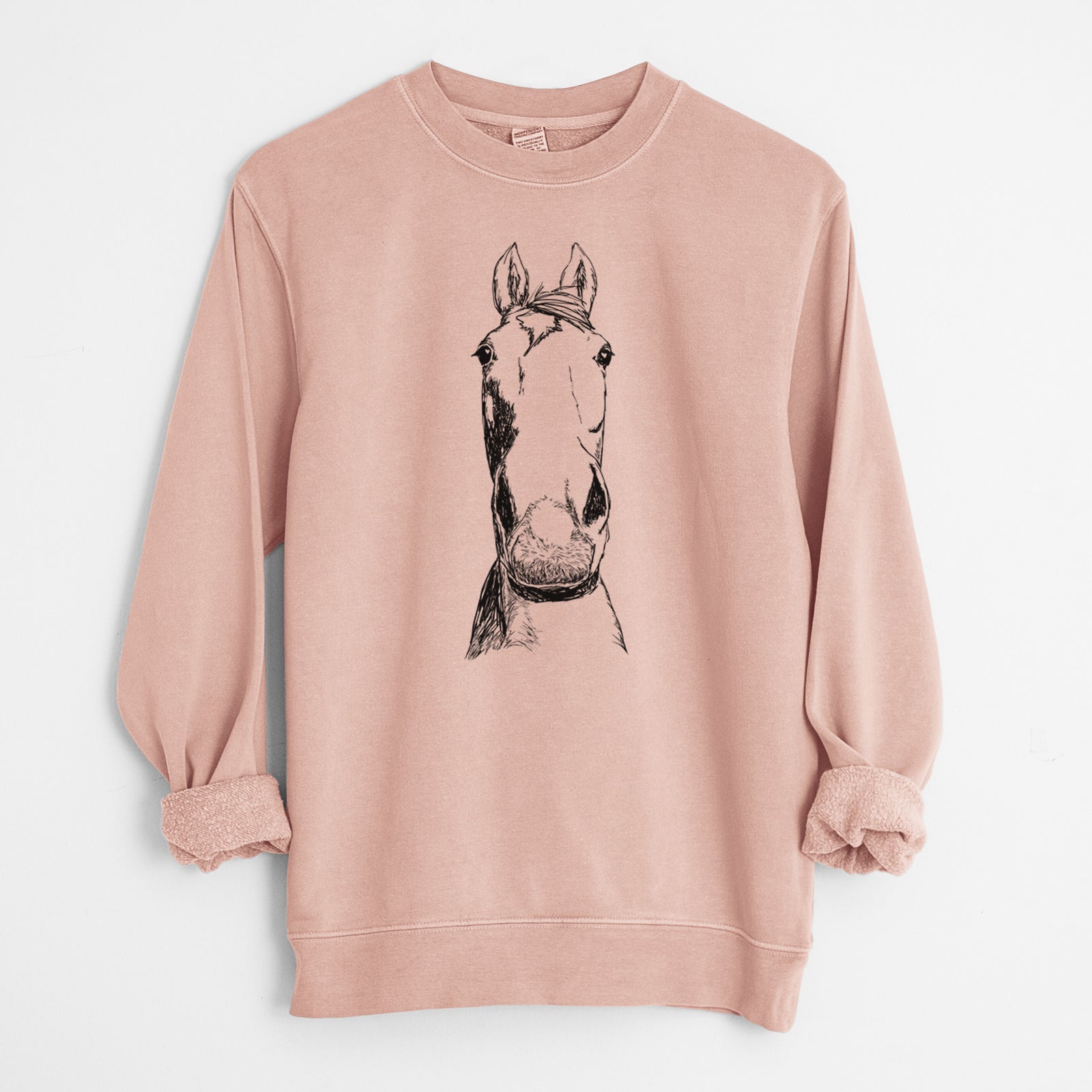 Doodled Jeremiah the OTTB - Unisex Pigment Dyed Crew Sweatshirt