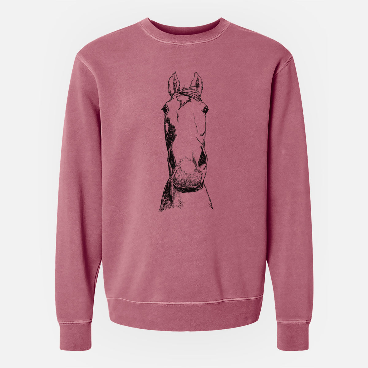 Doodled Jeremiah the OTTB - Unisex Pigment Dyed Crew Sweatshirt