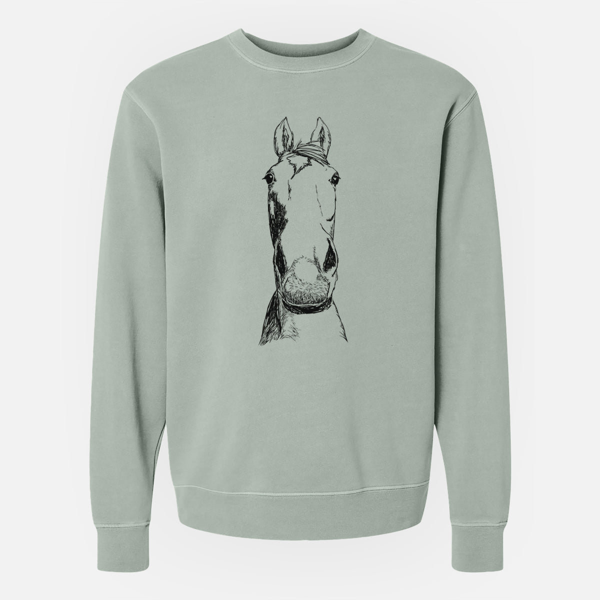Doodled Jeremiah the OTTB - Unisex Pigment Dyed Crew Sweatshirt