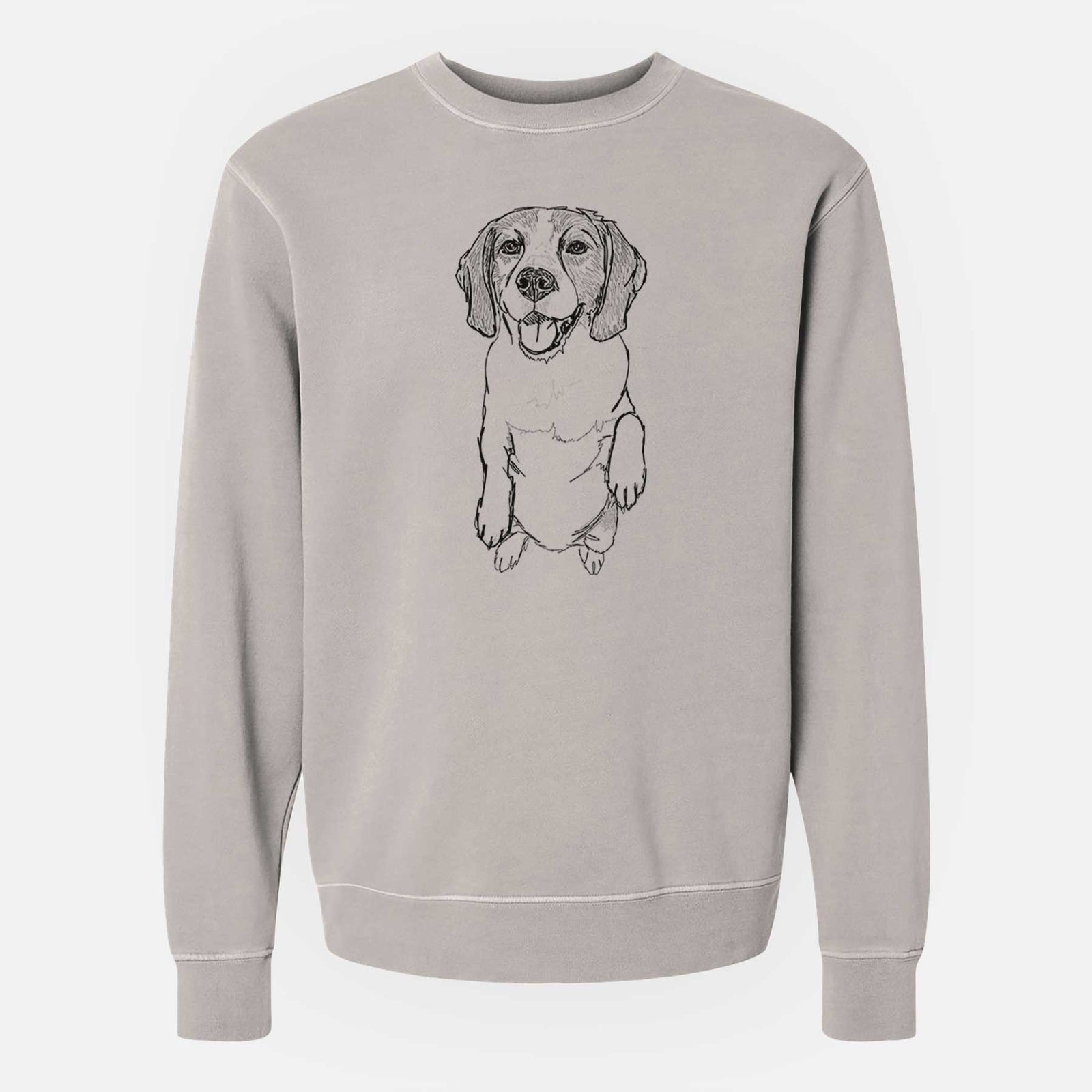 Doodled Jimmy Charles the Beagle - Unisex Pigment Dyed Crew Sweatshirt