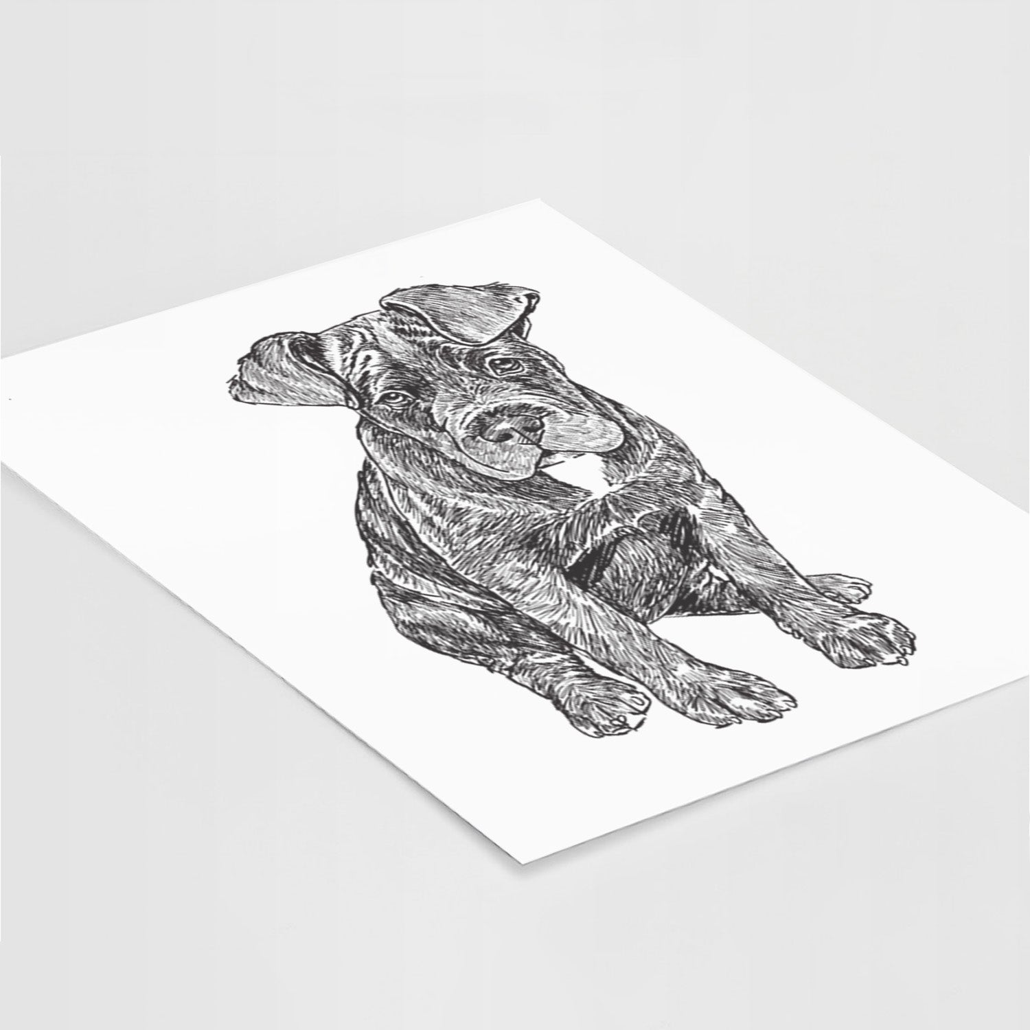 Doodled Kona the Cane Corso Art Print